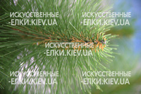 Макросъемка иголок